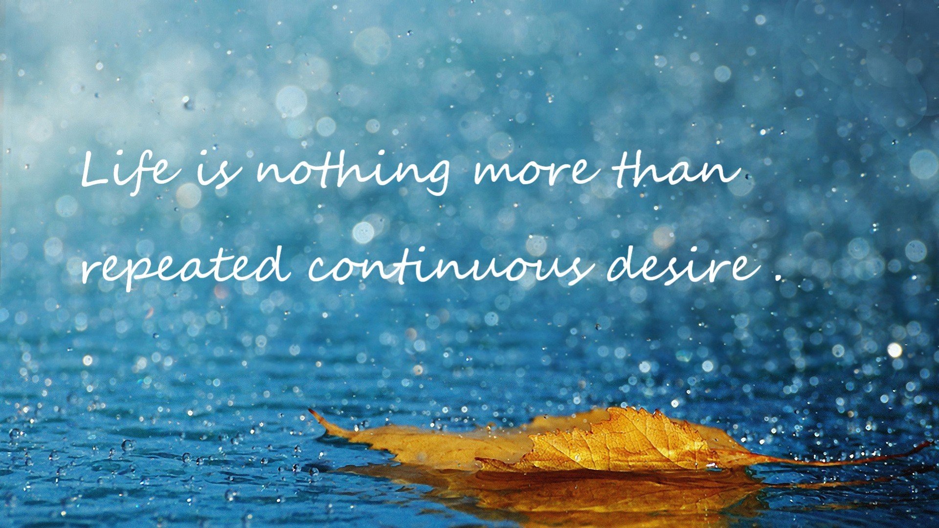 NBA赛季篮板效率提升，nba赛季篮板记录