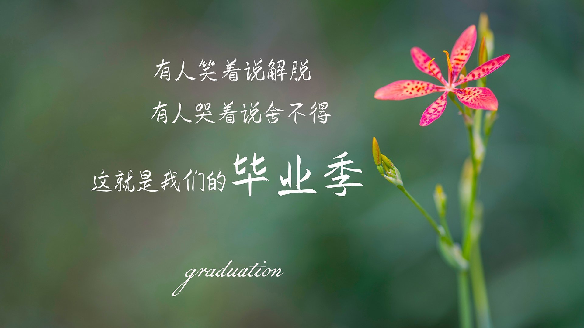 国足锋线组合效率排行榜，国足锋线组合效率排行榜最新