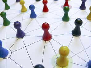 米兰体育网页版-中国篮球教练员专业能力提升路径，篮球教练员的专业技能包括哪些方面