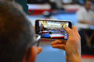 米兰体育-中国篮球联赛市场细分与营销研究，篮球联赛介绍