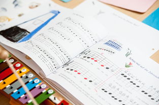 米兰体育下载-中小学体育教师继续教育体系建设与实施研究，小学体育继续教育考试试题及答案