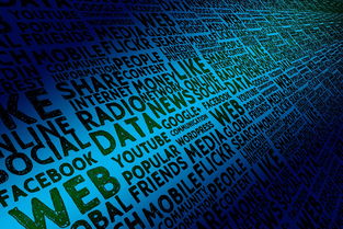 米兰足球官网-体育赛事转播权分配机制与商业价值分析研究，体育赛事转播权侵权案例