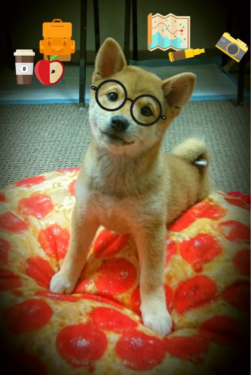 米兰体育官网-国足锋线组合效率排行榜，国足锋线组合效率排行榜最新